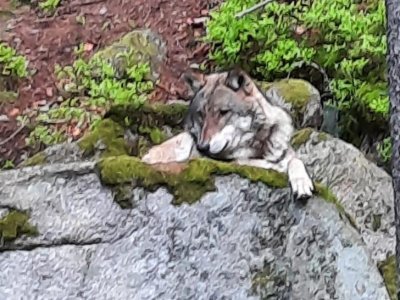 Výlet Šumava