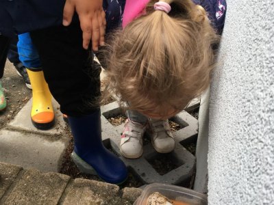 Pozorování a očichávání hadovky smrduté z knihy 3. Dobrodružství pavouka Čendy