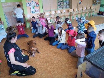 Program: Bezpečný pes