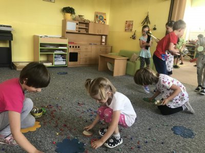 Sběr pylu, nektaru.