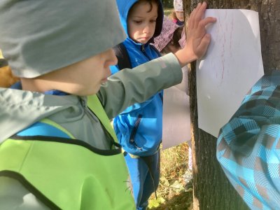 Frotáž kůry stromu.