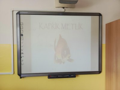Autorské čtení