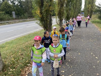 Hledá se Vendelín - den první