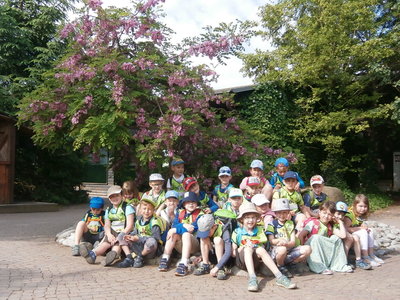Výlet ZOO