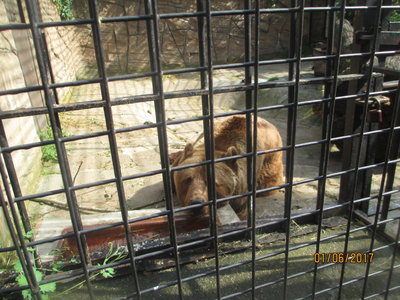 Výlet do Zoo