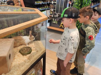 Zvířátka ze ZOO