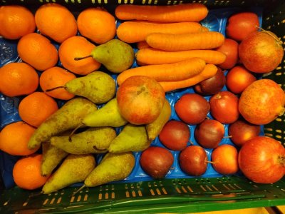 Ochutnávka ovoce do škol