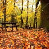 Podzimní procházka- poděkování